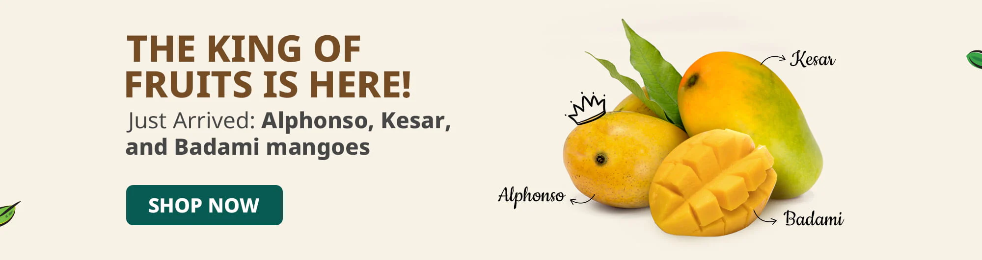 Authentic Indian Flavors Delivered Fast